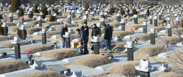 설 연휴를 일주일 앞둔 27일 오전 인천 부평구 인천가족공원에서 성묘객들이 성묘를 하고 있다.조주현기자