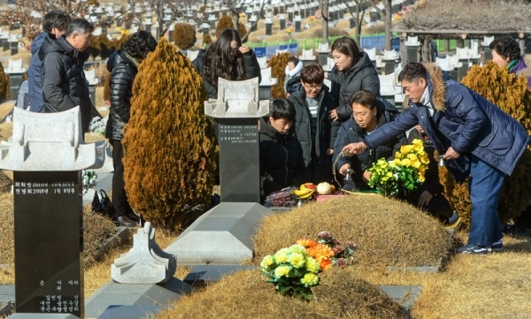 설 연휴를 일주일 앞둔 27일 오전 인천 부평구 인천가족공원에서 성묘객들이 성묘를 하고 있다.조주현기자