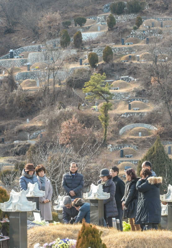 설 연휴를 일주일 앞둔 27일 오전 인천 부평구 인천가족공원에서 성묘객들이 성묘를 하고 있다.조주현기자