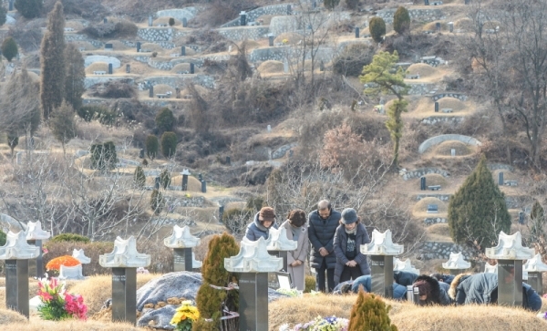 설 연휴를 일주일 앞둔 27일 오전 인천 부평구 인천가족공원에서 성묘객들이 성묘를 하고 있다.조주현기자