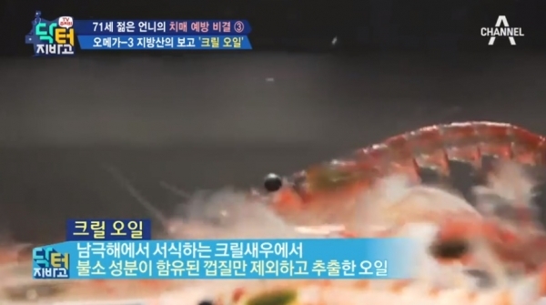 크릴 새우로 만든 크릴 오일이 주목받고 있다. 채널A