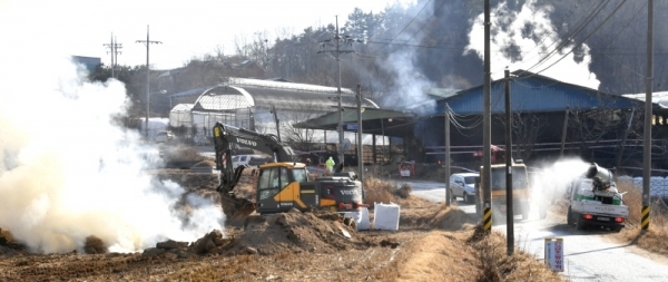 29일 구제역 확진 판정을 받은 안성시 금광면의 한 젖소 농가에서 방역 관계자들이 살처분 후 정리작업을 하고 있다.전형민기자
