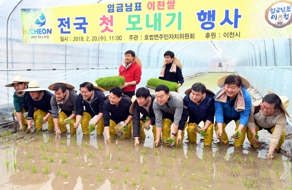 20일 이천시 호법면 안평리 비닐하우스 논에서 열린 ‘임금님표 이천쌀 전국 첫 모내기’ 행사에서 엄태준 이천시장을 비롯한 마을 주민 등 참석자들이 모를 심고 있다.전형민기자