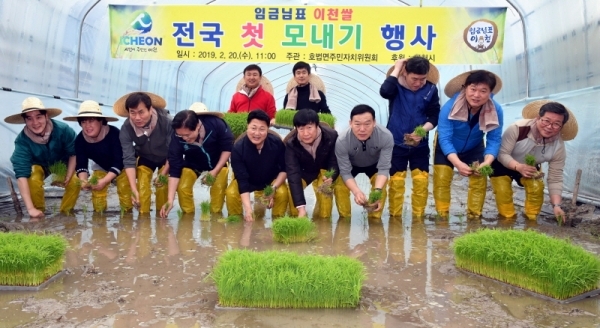 20일 이천시 호법면 안평리 비닐하우스 논에서 열린 ‘임금님표 이천쌀 전국 첫 모내기’ 행사에서 엄태준 이천시장을 비롯한 마을 주민 등 참석자들이 모를 심고 있다.전형민기자