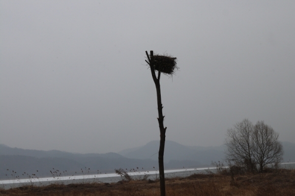 이현정 '구조를 기다리며'