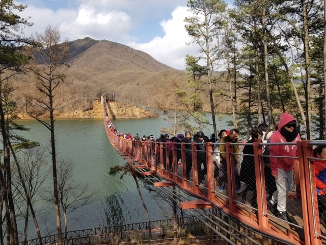 마장호수 흔들다리