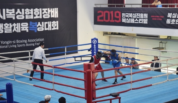 2019년 제5회 한국복싱진흥원 복싱페스티벌 경기 모습. 한국복싱진흥원 제공