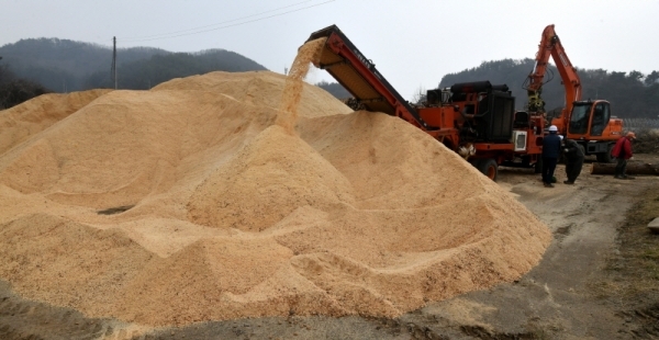 6일 오후 양평군 산림조합 관계자들이 양동면 일대에서 소나무재선충병 감염목에 대한 벌목 및 파쇄작업을 하느라 분주한 모습을 보이고 있다. 경기도에 따르면 지난해 4월부터 올해 2월까지 도내 18개 시ㆍ군에서 7만7천389그루가 소나무재선충병에 감염된 것으로 파악되고 있다. 도는 현재까지 5만6천455그루(73%)에 대해 방제작업을 실시했으며 이달 말까지 모든 감염목에 대해 방제작업을 완료한다는 계획이다. 김시범기자