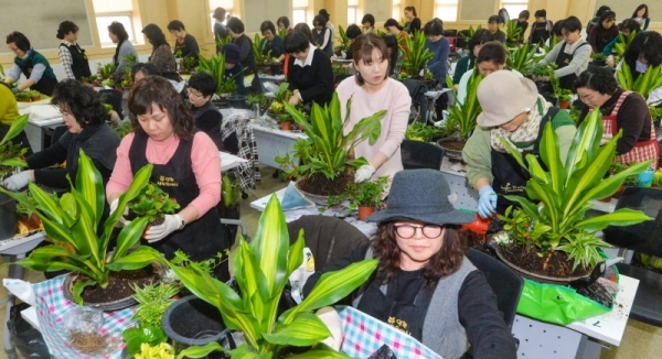19일 오전 인천 부평구 십정동 인천농업기술센터에서 열린  '도시농업인 생활원예경진대회'에서 참가자들이 화분을 꾸미고 있다. 이번 대회 입상자는 청주농업기술센터에서 열리는 '전국 생활원예경진대회'에 출전하게 된다.조주현기자