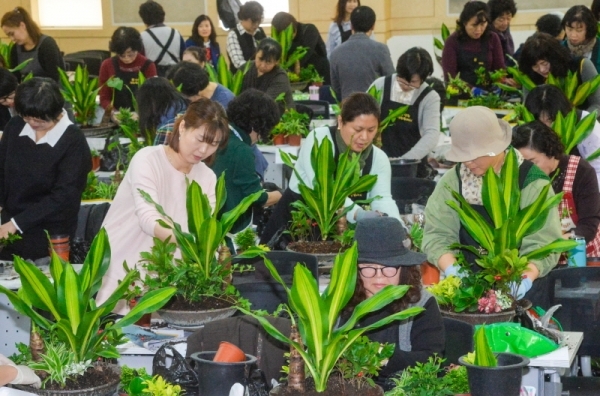 19일 오전 인천 부평구 십정동 인천농업기술센터에서 열린  '도시농업인 생활원예경진대회'에서 참가자들이 화분을 꾸미고 있다. 이번 대회 입상자는 청주농업기술센터에서 열리는 '전국 생활원예경진대회'에 출전하게 된다.조주현기자
