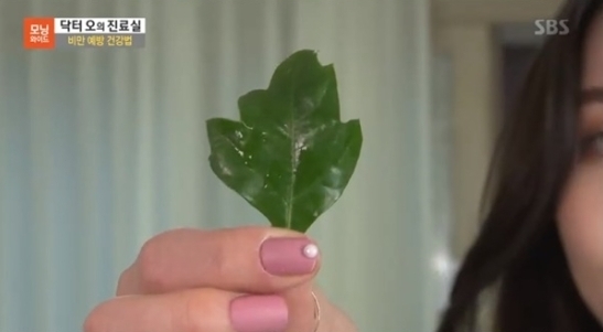 sbs모닝와이드 방송화면
