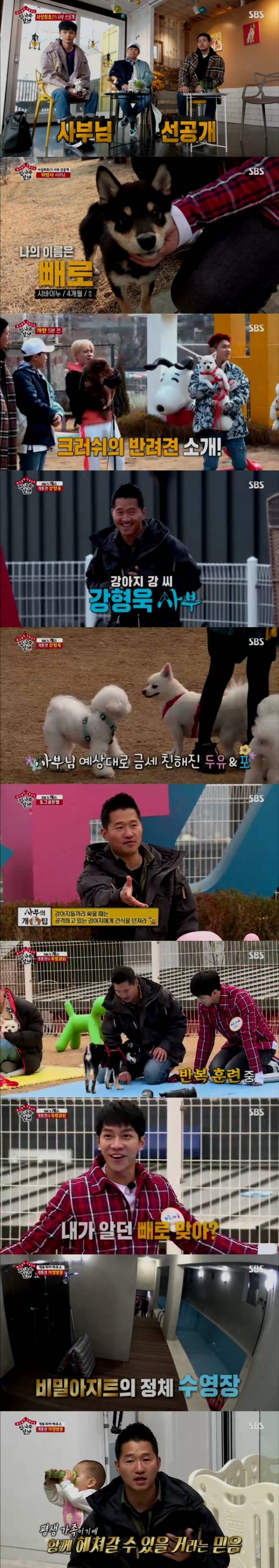 '집사부일체' 강형욱 편 주요 장면. SBS