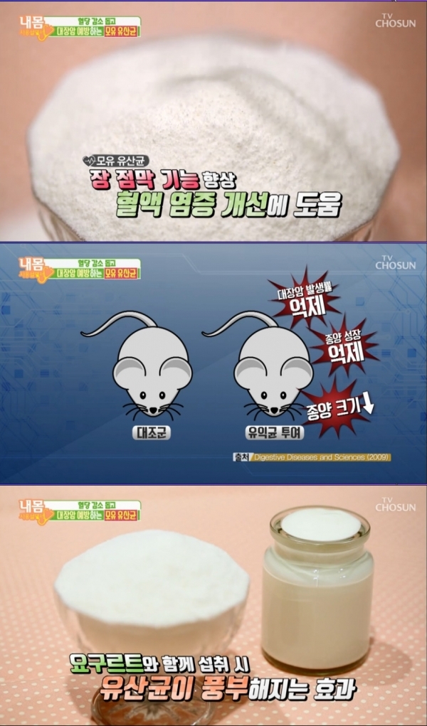 TV조선 ‘내 몸 사용 설명서’ 방송화면