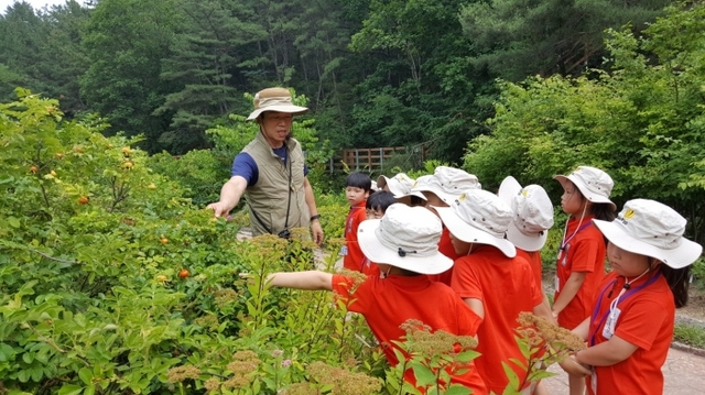 ▲ 여주 황학산수목원에서 숲 속 이야기를 들어보자 (1)