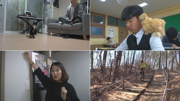 '순간포착 세상에 이런일이'에서는 별난 냥이들과 고등학생 애완 닭, 귀신 머리카락 미스터리 등이 소개된다. SBS