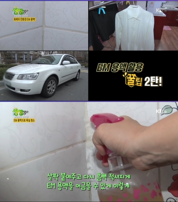 KBS ‘2TV 생생정보’ 방송화면