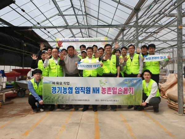 경기농협 남창현 본부장을 비롯한 직원들이 5일 여주 능서농협 육묘장을 방문해 일손돕기 활동을 펼친 후 기념촬영을 하고 있다.경기농협 제공