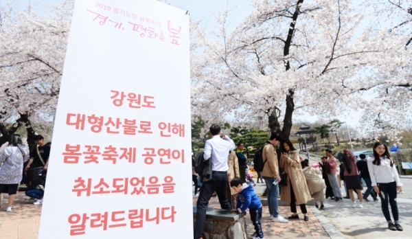 '경기 평화를 봄'이란 제목으로 2019 경기도청 봄꽃축제가 5일부터 7일까지 진행됐다. 다양한 볼거리와 먹거리가 마련된 이번 행사에 7일 주말을 맞아 많은 사람이 경기도청을 찾았다. 강원도의 대형산불로 축제가 축소 됐다. 윤원규 수습기자