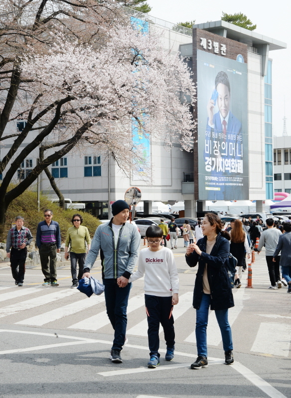 '경기 평화를 봄'이란 제목으로 2019 경기도청 봄꽃축제가 5일부터 7일까지 진행됐다. 다양한 볼거리와 먹거리가 마련된 이번 행사에 7일 주말을 맞아 많은 시민들이 경기도청을 찾았다. 윤원규 수습기자