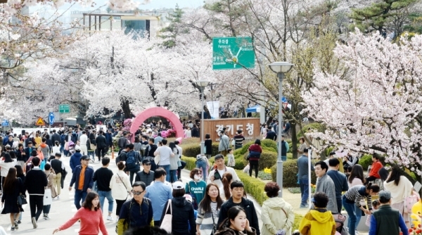 '경기 평화를 봄'이란 제목으로 2019 경기도청 봄꽃축제가 5일부터 7일까지 진행됐다. 다양한 볼거리와 먹거리가 마련된 이번 행사에 7일 주말을 맞아 많은 시민들이 경기도청을 찾았다. 윤원규 수습기자