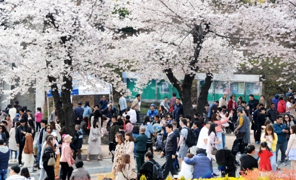 '경기 평화를 봄'이란 제목으로 2019 경기도청 봄꽃축제가 5일부터 7일까지 진행됐다. 다양한 볼거리와 먹거리가 마련된 이번 행사에 7일 주말을 맞아 많은 시민들이 경기도청을 찾았다. 윤원규 수습기자