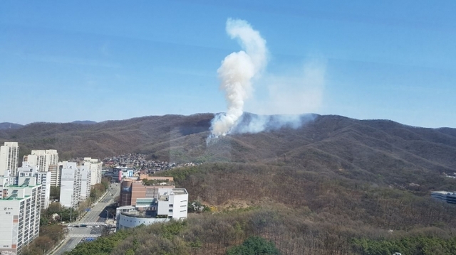 성남 분당서울대병원 인근 불곡산 화재 현장 사진. 독자 제공