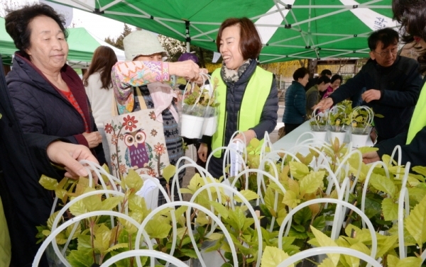 수원 팔달구 우만주공3단지아파트 일원에서 수원시가 주관하고 수원시조경협회, (재)수원그린트러스트, (사)생태조경협회 등 시민단체가 함께한 '미세먼지 잡는 반려식물 키우기' 캠페인이 진행됐다. 미세먼지 조절에 탁월한 산호수 3200그루를 지역 주민들에게 키우는 방법과 함께 전달했다. 윤원규 수습기자