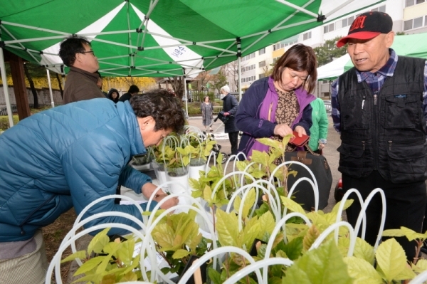 수원 팔달구 우만주공3단지아파트 일원에서 수원시가 주관하고 수원시조경협회, (재)수원그린트러스트, (사)생태조경협회 등 시민단체가 함께한 '미세먼지 잡는 반려식물 키우기' 캠페인이 진행됐다. 미세먼지 조절에 탁월한 산호수 3200그루를 지역 주민들에게 키우는 방법과 함께 전달했다. 윤원규 수습기자