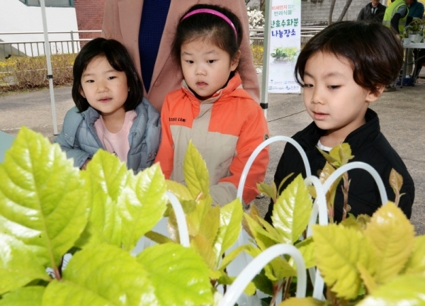 수원 팔달구 우만주공3단지아파트 일원에서 수원시가 주관하고 수원시조경협회, (재)수원그린트러스트, (사)생태조경협회 등 시민단체가 함께한 '미세먼지 잡는 반려식물 키우기' 캠페인이 진행됐다. 미세먼지 조절에 탁월한 산호수 3200그루를 지역 주민들에게 키우는 방법과 함께 전달했다. 윤원규 수습기자
