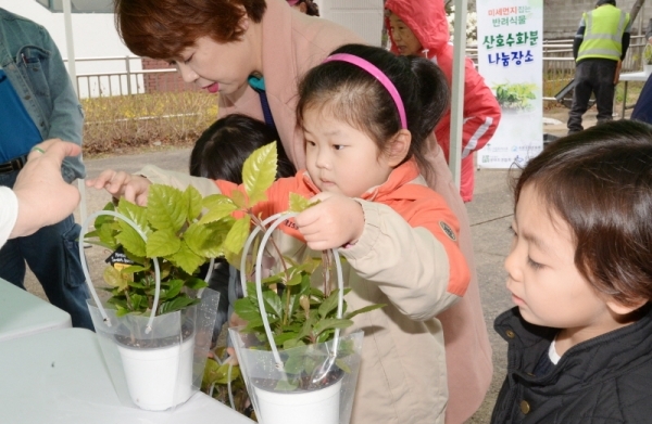 수원 팔달구 우만주공3단지아파트 일원에서 수원시가 주관하고 수원시조경협회, (재)수원그린트러스트, (사)생태조경협회 등 시민단체가 함께한 '미세먼지 잡는 반려식물 키우기' 캠페인이 진행됐다. 미세먼지 조절에 탁월한 산호수 3200그루를 지역 주민들에게 키우는 방법과 함께 전달했다. 윤원규 수습기자