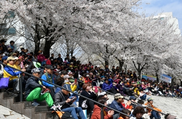 대한민국 임시정부수립 100주년 기념 '2019 한마음 건강걷기대회'가 열린 13일 의정부시 발곡역 동막교광장에서 참가자들이 활짝 핀 벚꽃나무 아래에 앉아 공연을 관람하고 있다. 의정부시체육회와 경기일보 주관으로 열린 이번 걷기대회에는 6천여 명의 시민과 자원봉사자들이 참가해 건강걷기와 공연, 각종 체험행사 등을 즐겼다. 김시범기자