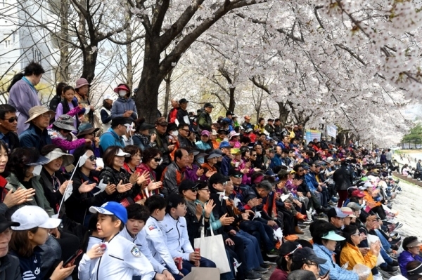 대한민국 임시정부수립 100주년 기념 '2019 한마음 건강걷기대회'가 열린 13일 의정부시 발곡역 동막교광장에서 참가자들이 활짝 핀 벚꽃나무 아래에 앉아 공연을 관람하고 있다. 의정부시체육회와 경기일보 주관으로 열린 이번 걷기대회에는 6천여 명의 시민과 자원봉사자들이 참가해 건강걷기와 공연, 각종 체험행사 등을 즐겼다. 김시범기자