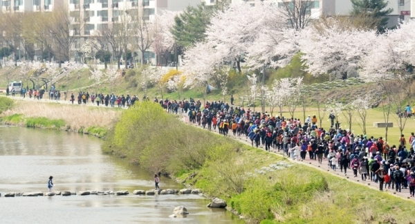 대한민국 임시정부수립 100주년 기념 '2019 의정부 한마음 건강걷기대회'가 열린 13일 의정부시 발곡역 동막교광장에서 참가자들이 화창한 봄날씨 속에 벚꽃이 만개한 중랑천변을 걷고 있다. 의정부시체육회와 경기일보 주관으로 열린 이번 걷기대회에는 6천여 명의 시민과 자원봉사자들이 참가해 건강걷기와 공연, 각종 체험행사 등을 즐겼다. 윤원규 수습기자