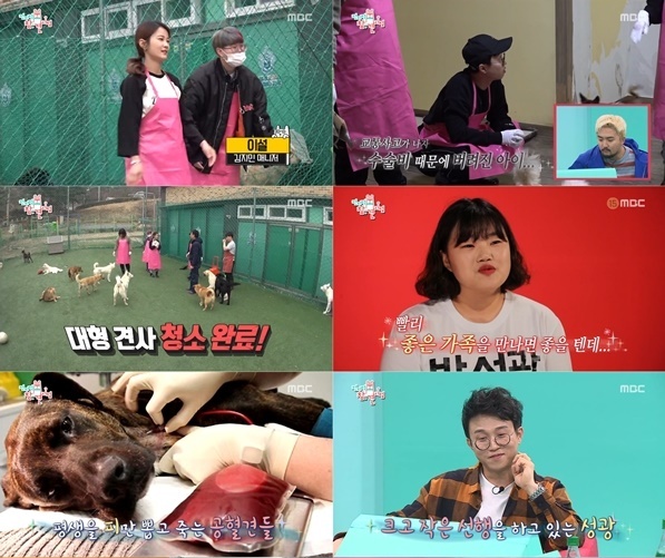 '전지적 참견 시점' 박성광과 병아리 매니저가 유기견 보호소에 방문해 따뜻한 사랑을 전했다. MBC