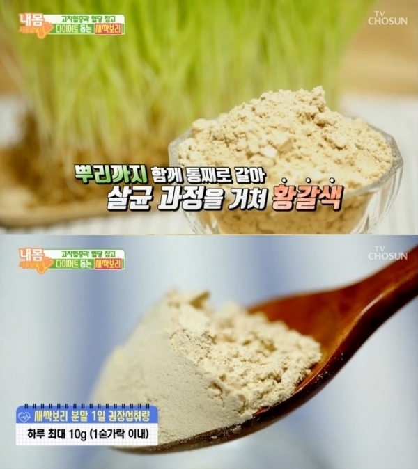 TV조선'내몸사용설명서' 방송화면