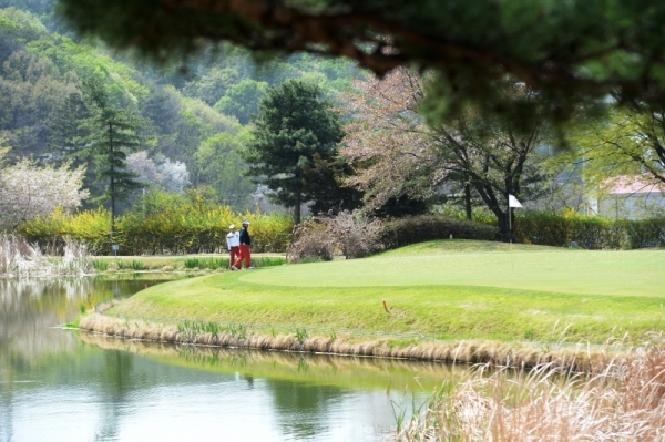 22일 용인 골드 CC에서 열린 2019 경제인 자선골프대회에 함께한 참가자들이 아름다운 필드에서 골프대회를 진행하고 있다. 윤원규 수습기자