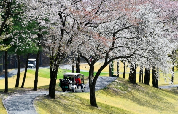'2019 경제인 자선골프대회' 열린 22일 용인 골드CC에서 멋진 풍경속에 참가자들을 태운 카트카가 지나가고 있다 . 경기일보 주최로 열린 이번 대회에는 64개팀 260여 명의 경제인 골프동호인들이 참가해 기량을 겨뤘다. 김시범기자