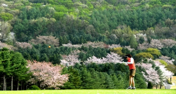 '2019 경제인 자선골프대회' 열린 22일 용인 골드CC에서 한 참가자가 멋진 풍경속에 아이언 샷을 날리고 있다. 경기일보 주최로 열린 이번 대회에는 64개팀 260여 명의 경제인 골프동호인들이 참가해 기량을 겨뤘다. 김시범기자