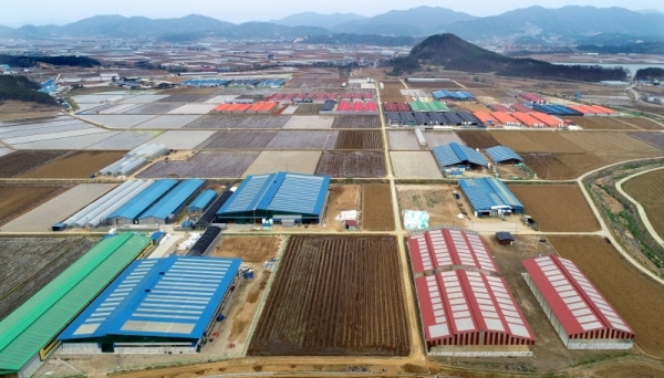 포천시 관인면과 인접한 강원도 철원군 동송읍 축산단지에 우사, 돈사 등 축사들이 곳곳에 지어져 있다. 이로인해 관인면 주민들이 극심한 악취 등을 호소하며 대책마련을 요구하고 있다. 김시범기자