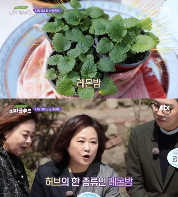 JTBC'맛있는 이야기 미라클푸드' 방송화면