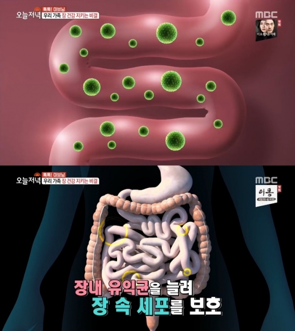 '생방송 오늘저녁'에서는 '톡톡이브닝' 코너를 통해 프로바이오틱스가 소개됐다. 방송 캡처
