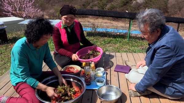 '한국인의 밥상'에서는 봄김치가 소개된다. KBS 1TV