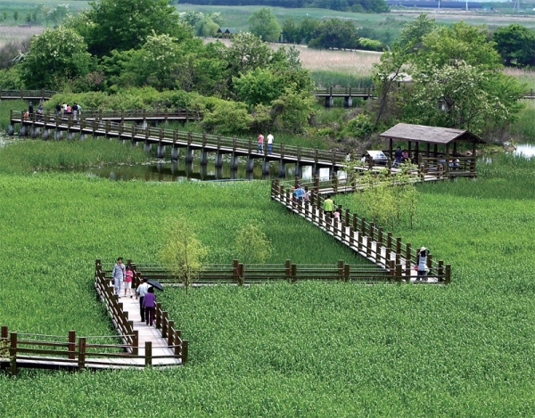 안산갈대습지공원
