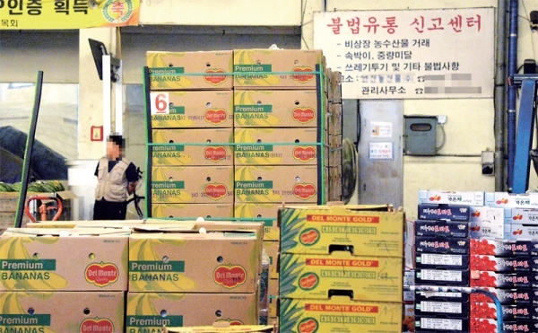 안산 농수산물도매시장에서 일부 중도매인이 상장 과정 없이 무단으로 약 11t 규모의 바나나를 반입해 관할 당국에 적발됐다. 13일 해당 농수산물도매시장 청과동에 바나나 등 각종 과일박스들이 쌓여 있다. 윤원규기자