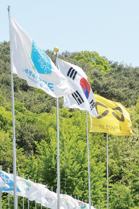 도청 앞 바람에 날리는 경기도기, 태극기, 세월호기.