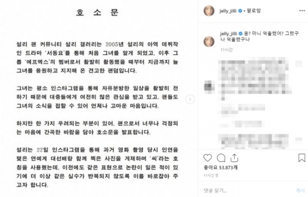 설리의 팬이라고 자신을 소개한 한 누리꾼이 커뮤니티에 올린 호소문. 설리 인스타그램