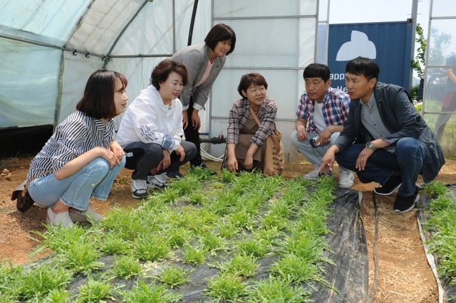 ▲ 20190529 지역공동체 발전을 위한 선진지 사례 연구회 홍성행복농장 방문2