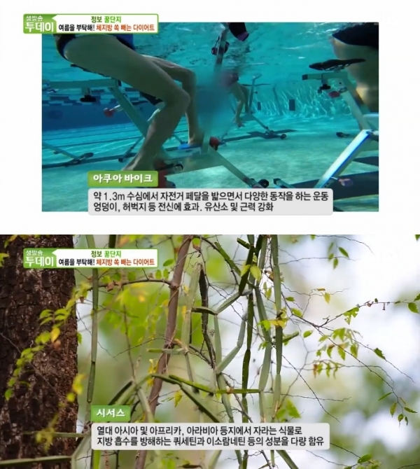 '생방송 투데이'에서는 '정보 꿀단지' 코너를 통해 체지방 빼는 다이어트 방법으로 시서스 가루와 아쿠아 바이크가 소개됐다. 방송 캡처