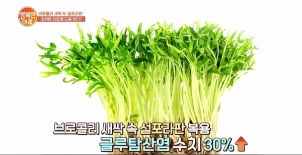 '행복한 아침'에 소개된 브로콜리 새싹. 채널A