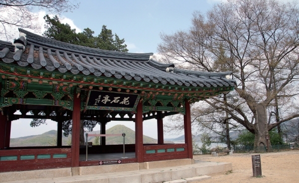많은 이가 임진왜란 때 화석정을 태워 선조가 임진강을 건넜다고 알고 있다. 그러나 실록에는 화석정에 대한 언급이 전혀 없다. 현실적으로도 화석정은 높은 지대에 있고 산길이 험해 비오는 밤에 올라가기는 버겁다. 유성룡은 징비록에서 ‘왜구가 목재를 쓸 수 없도록 임진강 나루청 건물을 태웠다’고 썼다.